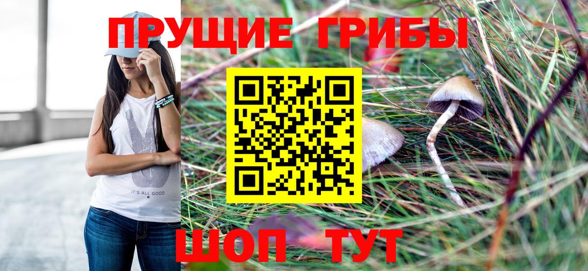 Галлюциногенные грибы мицелий Фурманов